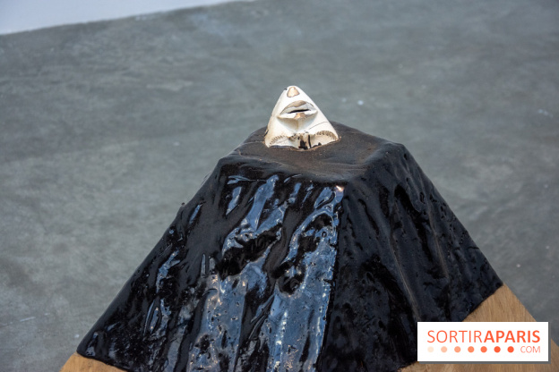 Saison Sensible au Palais de Tokyo