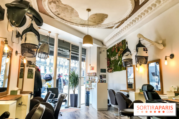 La coloration végétale chez Biocoiff'