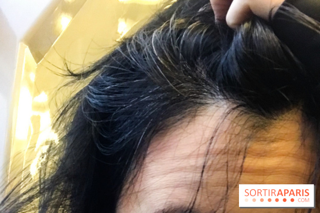 La coloration végétale chez Biocoiff'