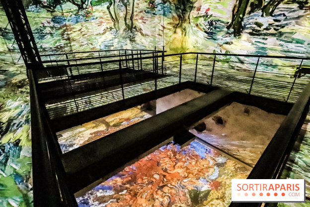 Exposition Van Gogh à l'Atelier des Lumières, les photos