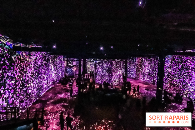 Japon rêvé, l'exposition immersive à l'Atelier des Lumières, les photos