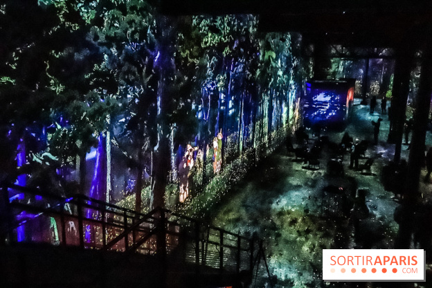 Japon rêvé, l'exposition immersive à l'Atelier des Lumières, les photos