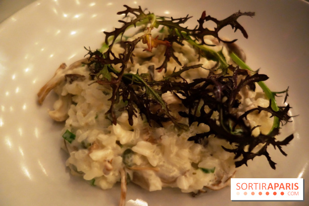 Tous : restaurant bistronomique à Paris, les photos