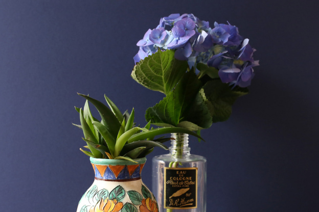 The Blond Cactus, quand le cactus passe en mode vintage