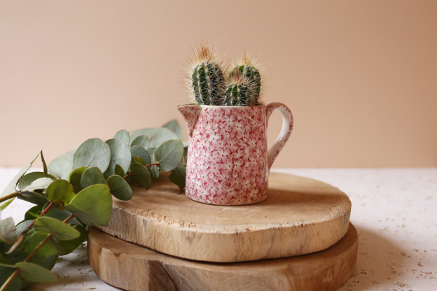 The Blond Cactus, quand le cactus passe en mode vintage