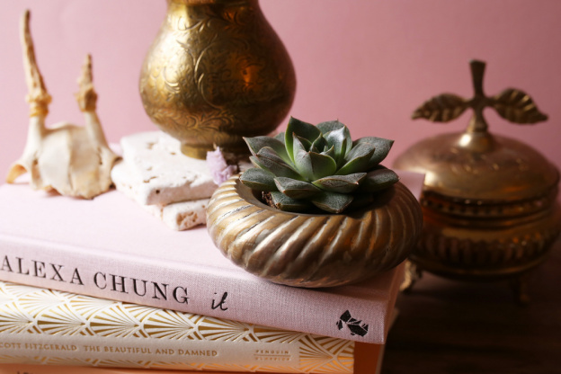 The Blond Cactus, quand le cactus passe en mode vintage