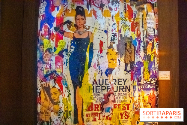 Exposition Anne Mondy à la brasserie Mon Paris !