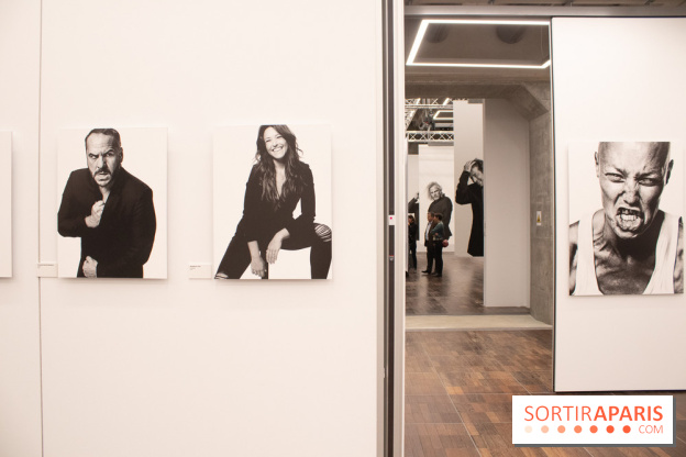 Stéphane de Bourgies, Quand le masque tombe