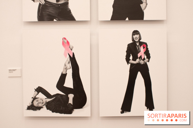 Stéphane de Bourgies, Quand le masque tombe