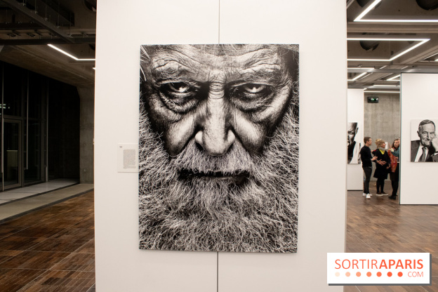 Stéphane de Bourgies, Quand le masque tombe