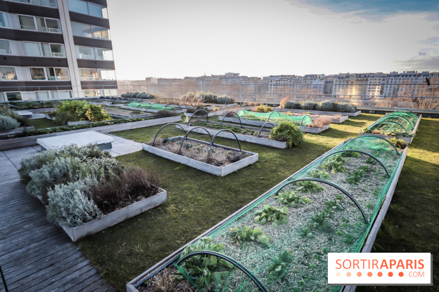 Le Cordon Bleu, cours de cuisine et nouveau café