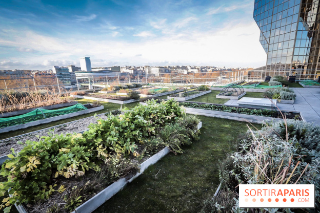Le Cordon Bleu, cours de cuisine et nouveau café