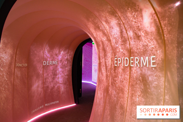 Dans ma peau au Musée de l'Homme : nos photos