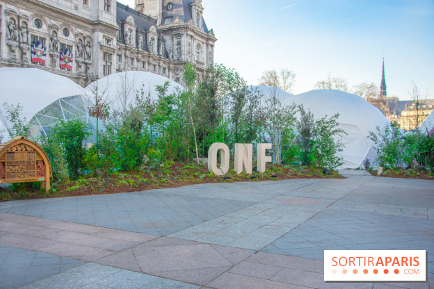 La forêt, une expérience à vivre sur le Parvis de l'Hôtel de Ville