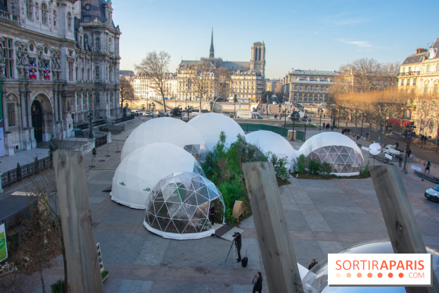 La forêt, une expérience à vivre sur le Parvis de l'Hôtel de Ville