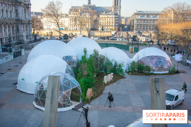 La forêt, une expérience à vivre sur le Parvis de l'Hôtel de Ville