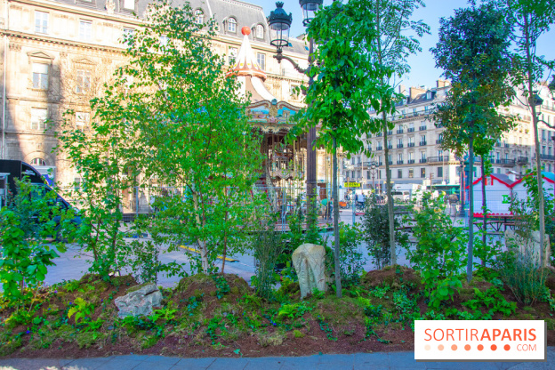 La forêt, une expérience à vivre sur le Parvis de l'Hôtel de Ville
