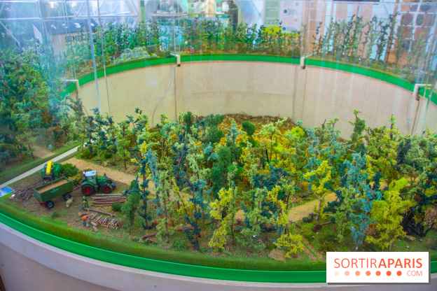 La forêt, une expérience à vivre sur le Parvis de l'Hôtel de Ville