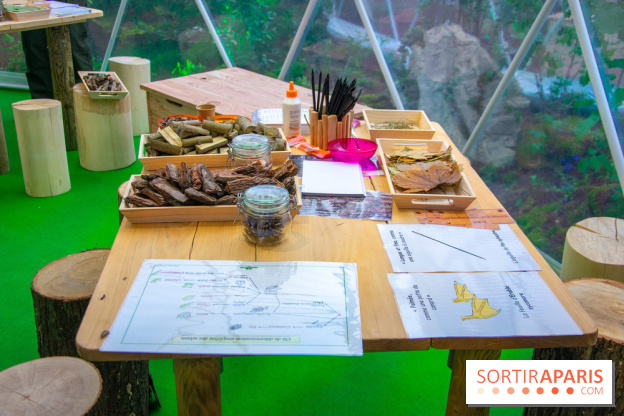 La forêt, une expérience à vivre sur le Parvis de l'Hôtel de Ville