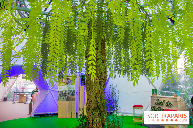 La forêt, une expérience à vivre sur le Parvis de l'Hôtel de Ville