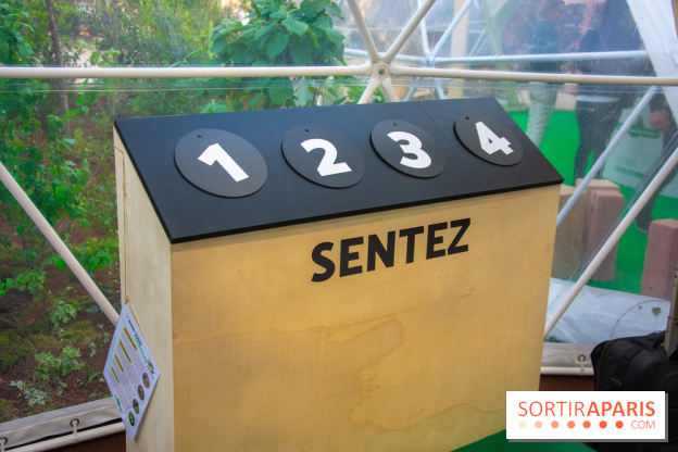 La forêt, une expérience à vivre sur le Parvis de l'Hôtel de Ville