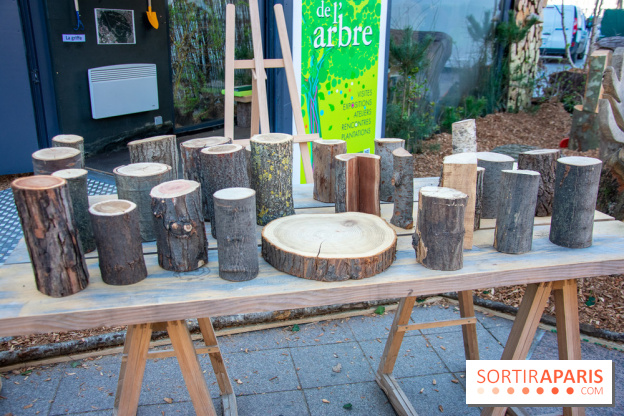 La forêt, une expérience à vivre sur le Parvis de l'Hôtel de Ville