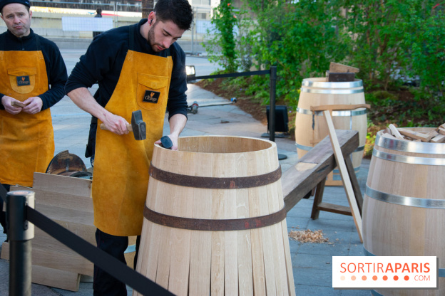 La forêt, une expérience à vivre sur le Parvis de l'Hôtel de Ville
