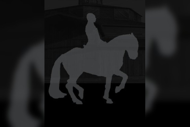 Lever de soleil, Bartabas, Cheval, Académie Equestre, Quartier d'été