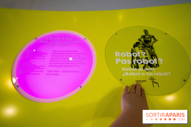 Les Robots débarquent à la Cité des Sciences 