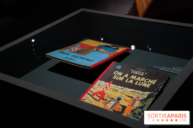 Exposition Lune au Grand Palais, nos photos 