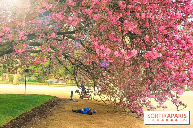 Le Jardin des Plantes