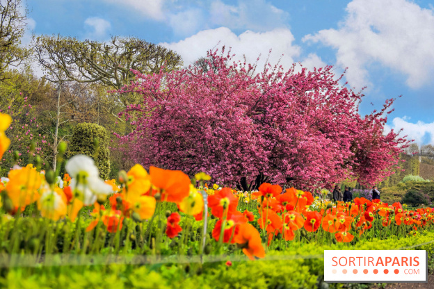 Le Jardin des Plantes