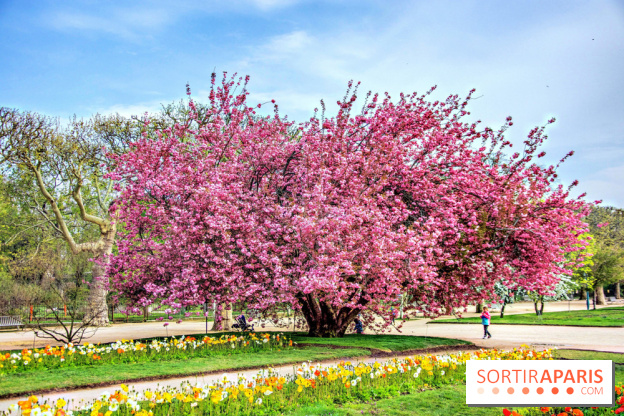 Le Jardin des Plantes
