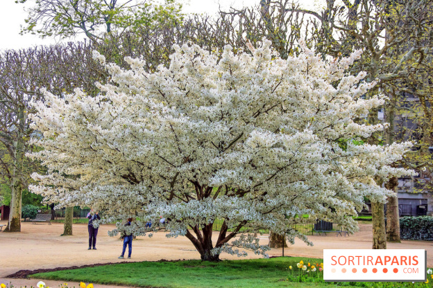 Le Jardin des Plantes