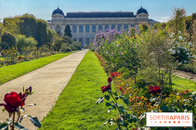 Le Jardin des Plantes