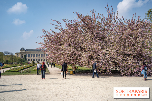 Le Jardin des Plantes