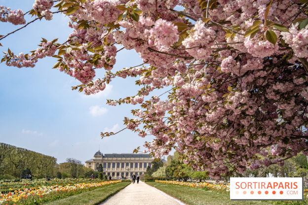 Le Jardin des Plantes