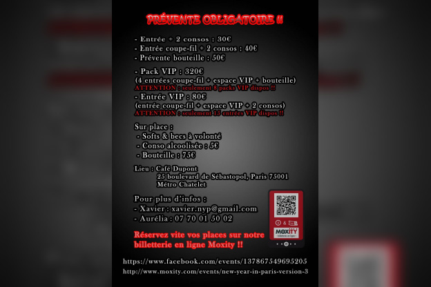 NEW YEAR in PARIS version 3 (2013)