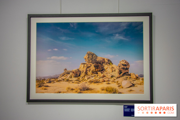 Exposition Unknown Places à la galerie Joseph - Froissart, nos photos