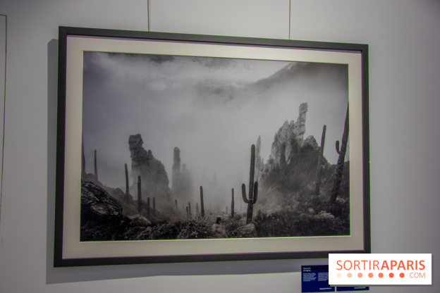 Exposition Unknown Places à la galerie Joseph - Froissart, nos photos