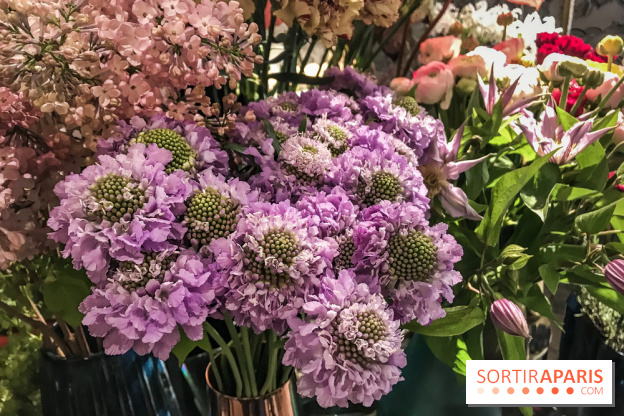 Boya Paris, fleuriste et artisanat