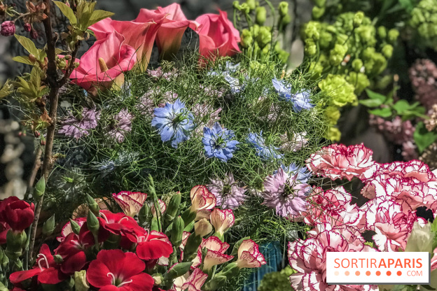 Boya Paris, fleuriste et artisanat