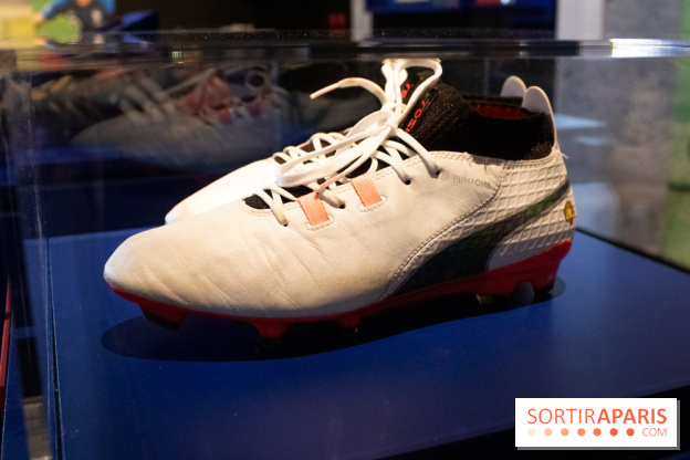 Les 100 ans de la FFF à l'Institut du monde arabe