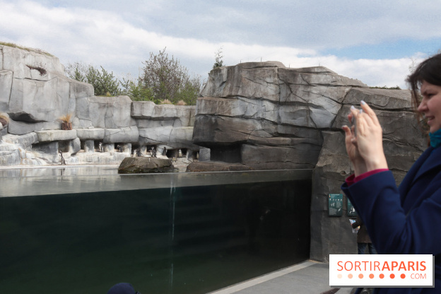 Parc Zoologique de Paris 2019