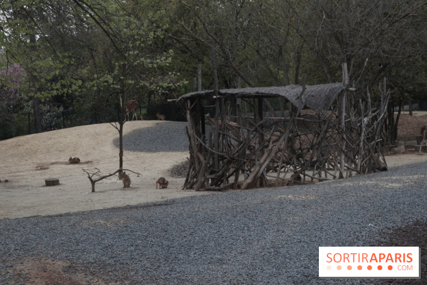 Parc Zoologique de Paris 2019