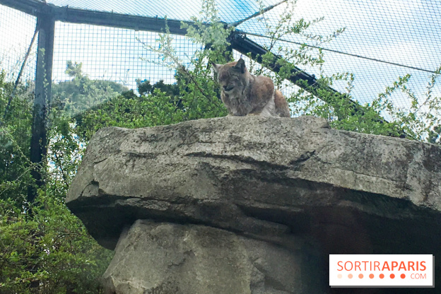 Parc Zoologique de Paris 2019
