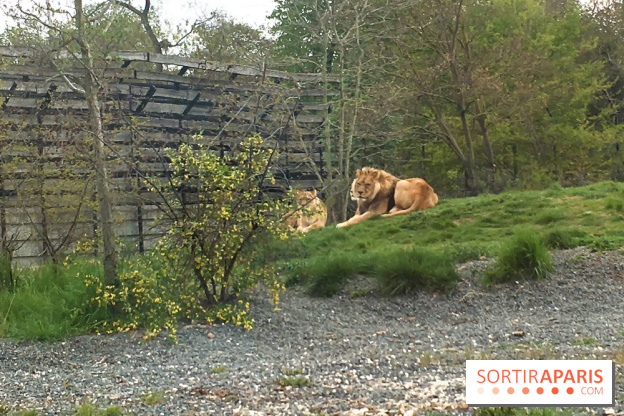 Parc Zoologique de Paris 2019