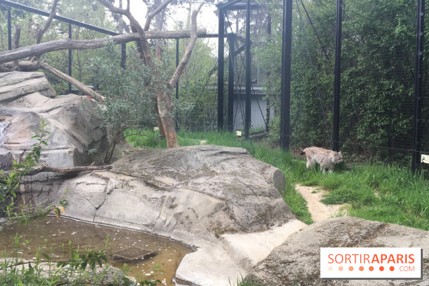 Parc Zoologique de Paris 2019