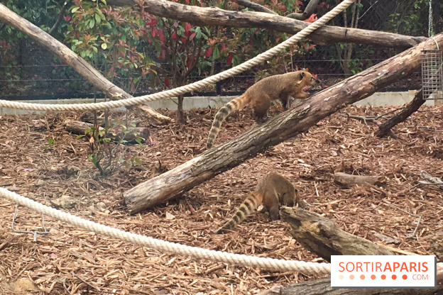 Parc Zoologique de Paris 2019