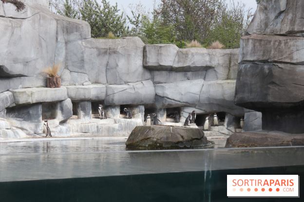 Parc Zoologique de Paris 2019